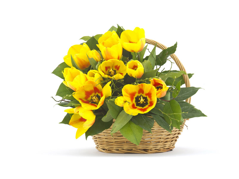 Yellow Tulips in Basket — Calm, Photograph, Flowers