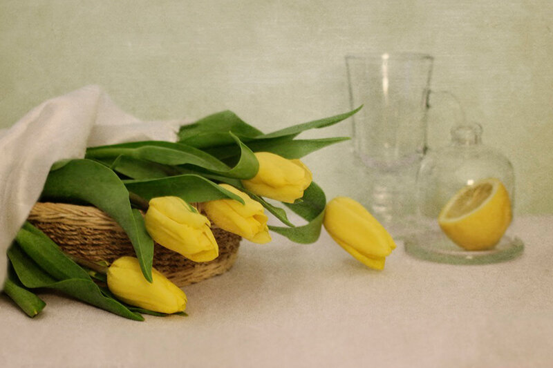Yellow Tulips in Basket — Calm, Photograph, Lemon