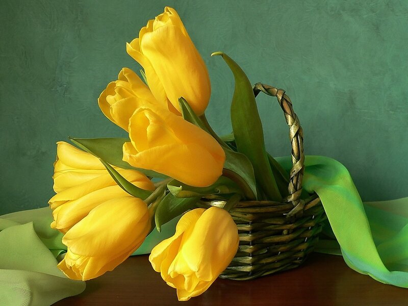 Yellow Tulips in Basket — Calm, Photograph