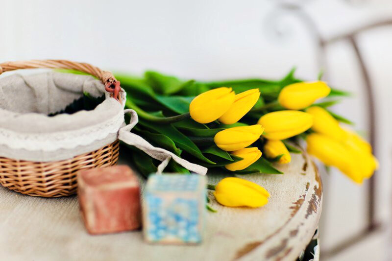 Yellow Tulips in Basket — Calm, Spring, Photograph, Blocks
