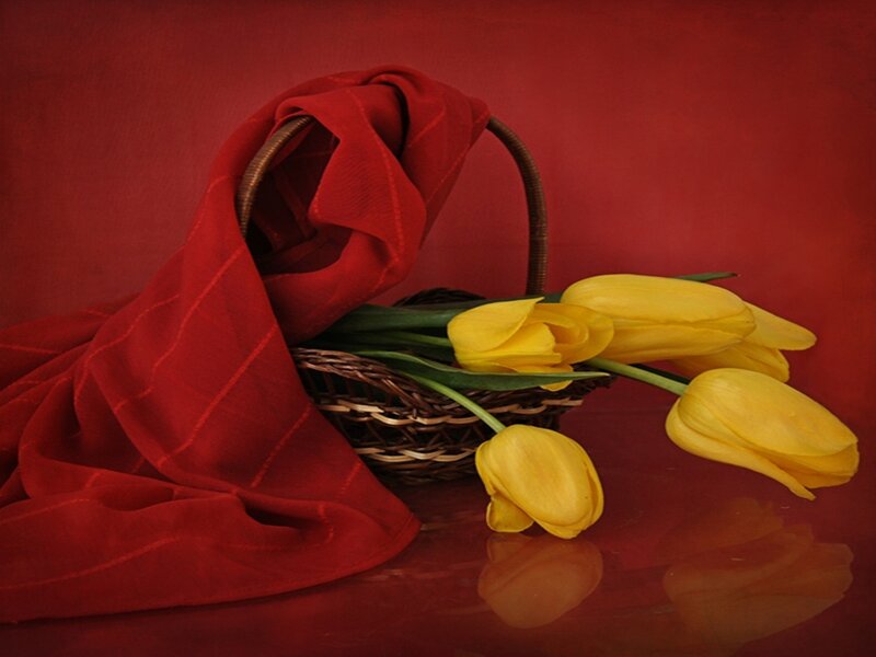 Yellow Tulips in Basket — Red