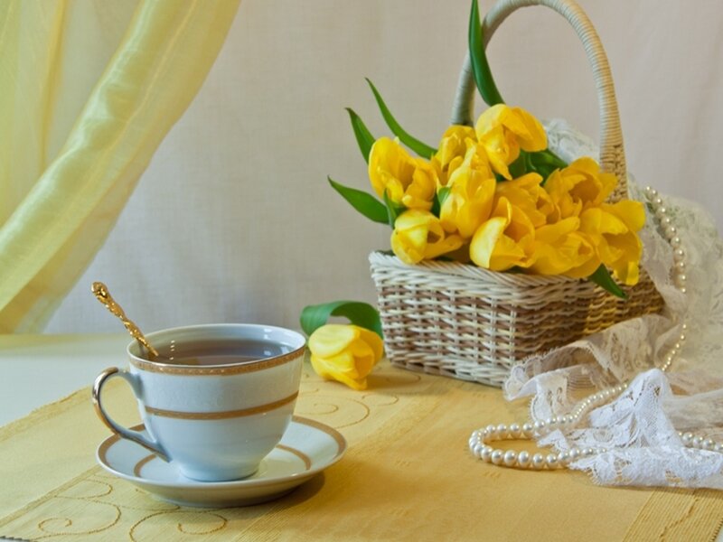 Yellow Tulips in Basket — Serene, Morning