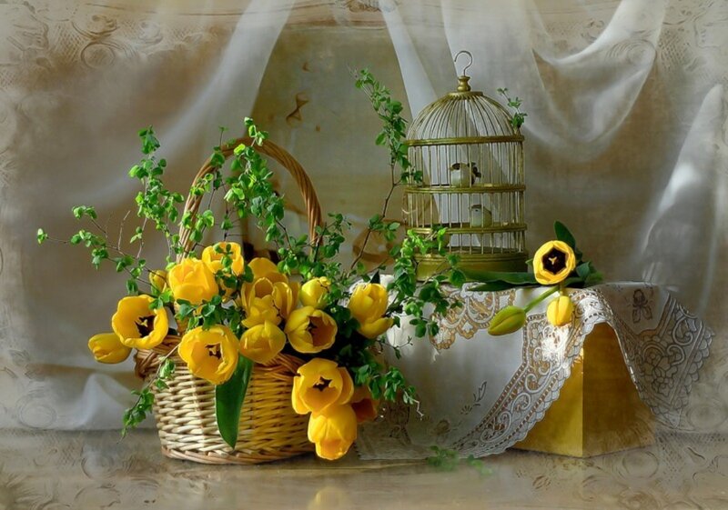 Yellow Tulips in Basket — Serene, Spring, Photograph, Birdcage, Lace Tablecloth