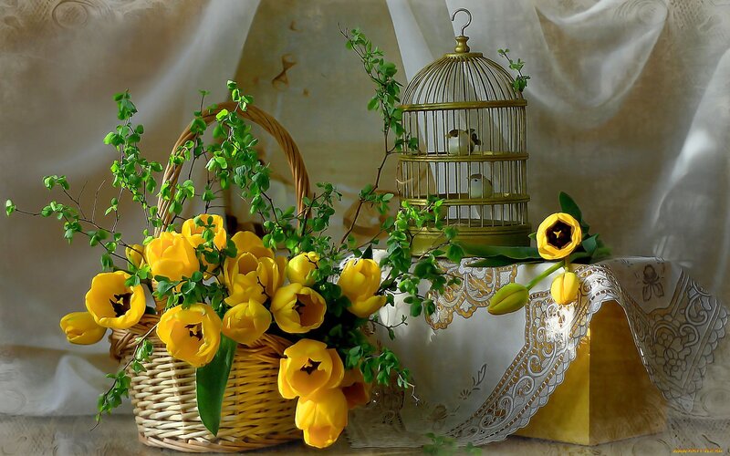 Yellow Tulips in Basket — Serene, Spring, Photograph