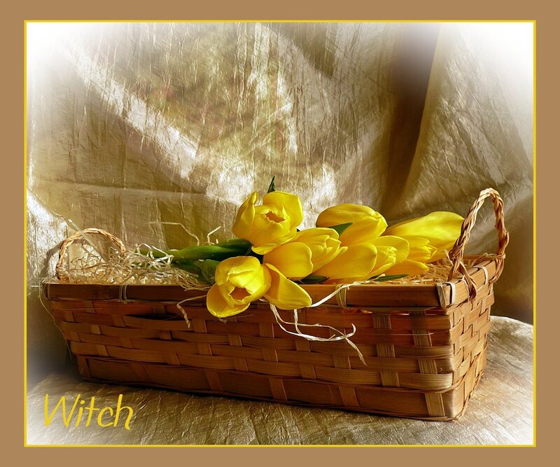 Yellow Tulips in Basket — Serene, Spring