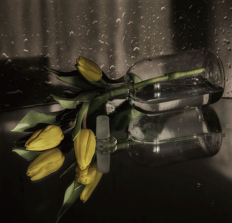 Yellow Tulips in Bottle