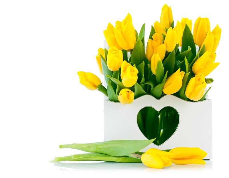 Yellow Tulips in Box