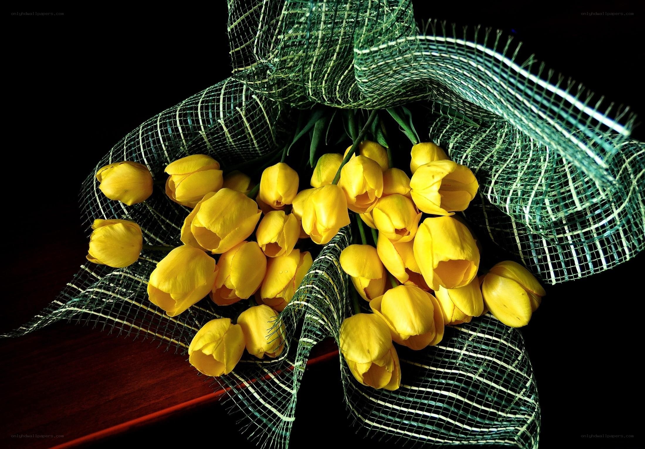Yellow tulips in green mesh