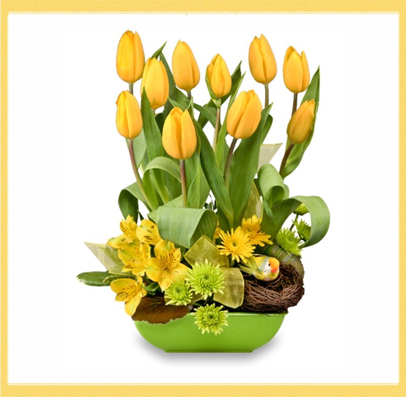 Yellow Tulips in Green Pot