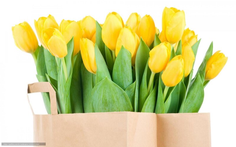 yellow tulips in paper bag