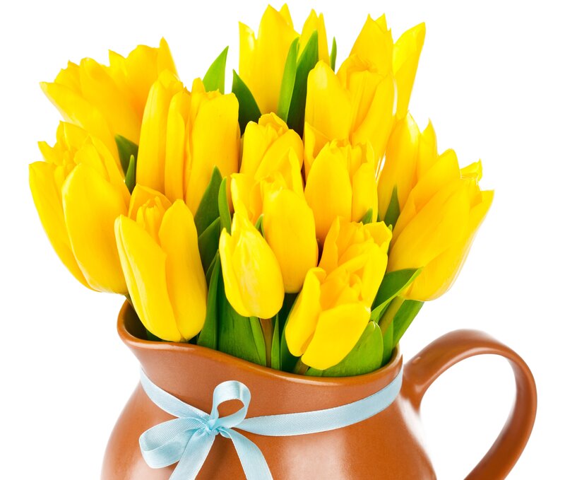 Yellow Tulips in Pitcher — Bright