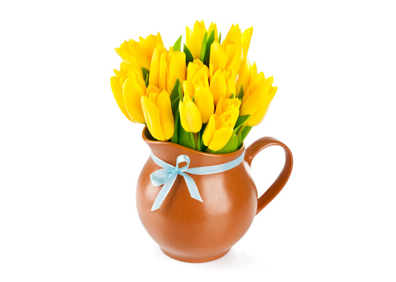 Yellow Tulips in Pitcher — Calm