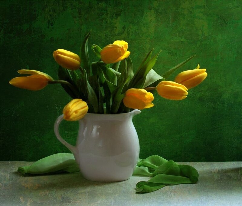 Yellow Tulips in Pitcher