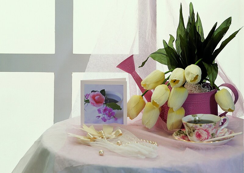 Yellow Tulips in Pot — Pink