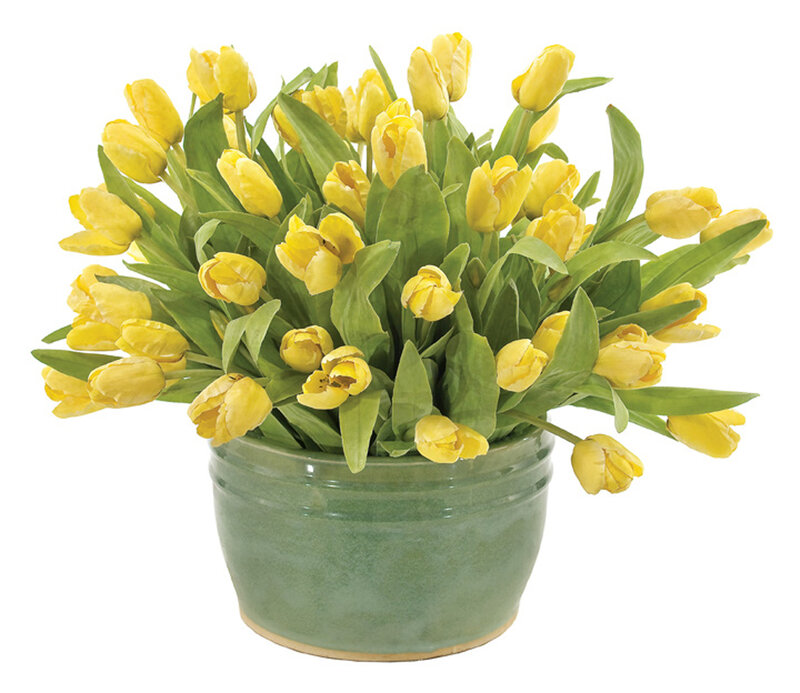 Yellow Tulips in Pot