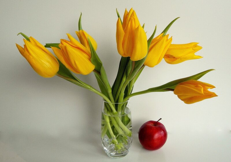 Yellow Tulips in Vase — Calm, Photograph, Apple