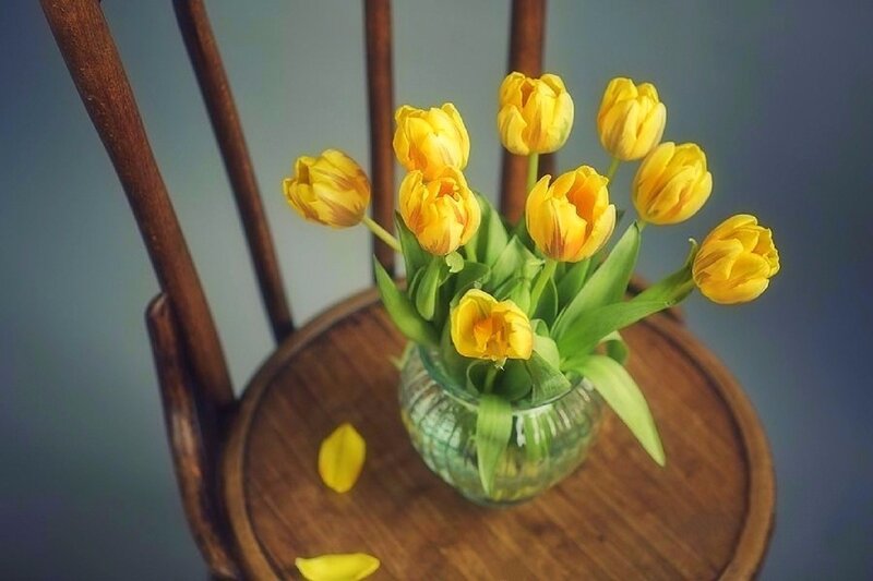 Yellow Tulips in Vase — Calm, Photograph, Chair