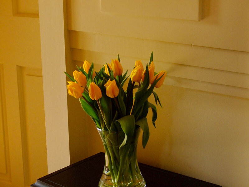 Yellow Tulips in Vase — Calm, Photograph, Table