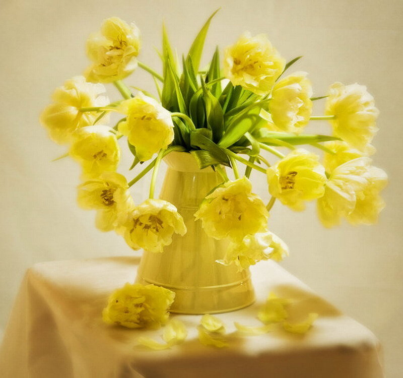 Yellow Tulips in Vase — Calm, Photograph, Tablecloth, Petals