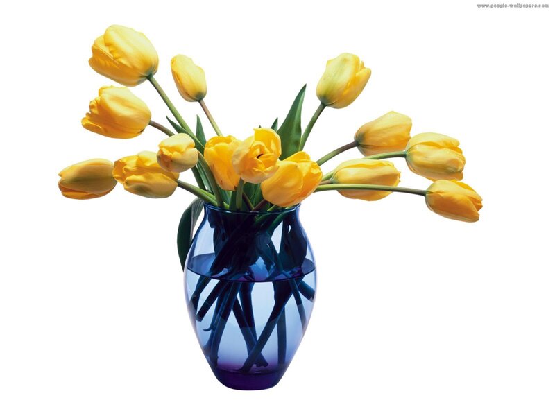 Yellow Tulips in Vase — Calm, Photograph