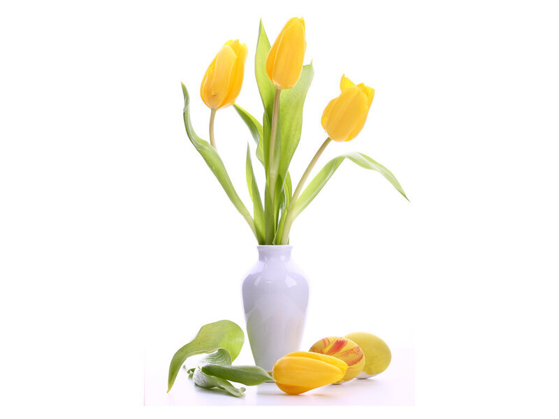 Yellow Tulips in Vase — Calm, Spring, Photograph