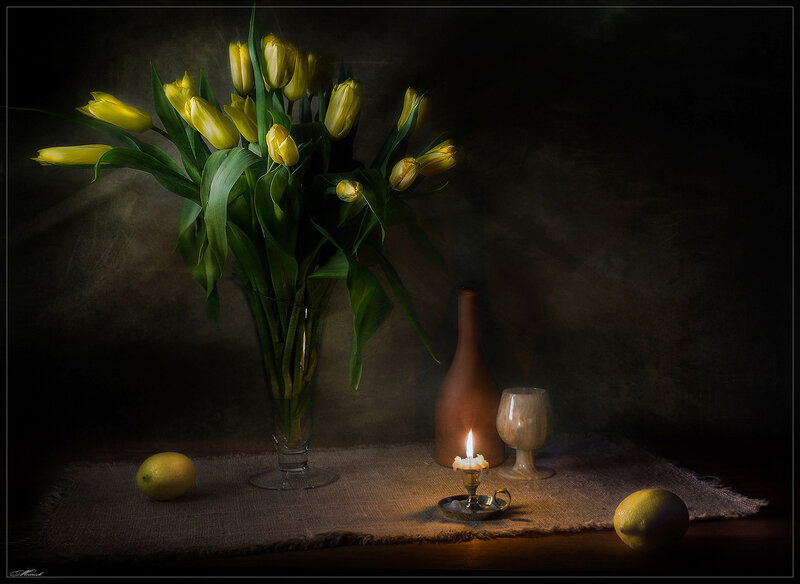 Yellow Tulips in Vase — Dramatic, Night