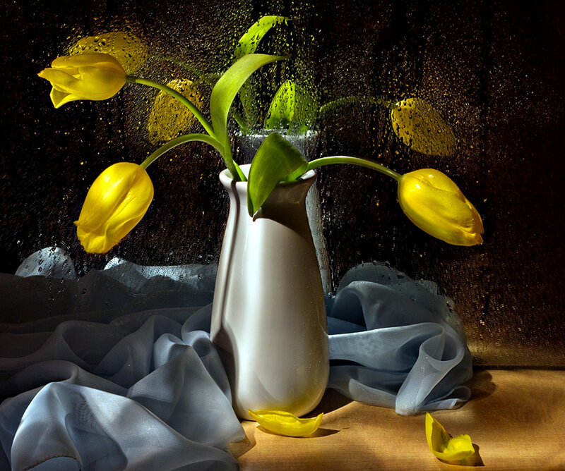 Yellow Tulips in Vase — Dramatic, Photograph, Fabric, Petals