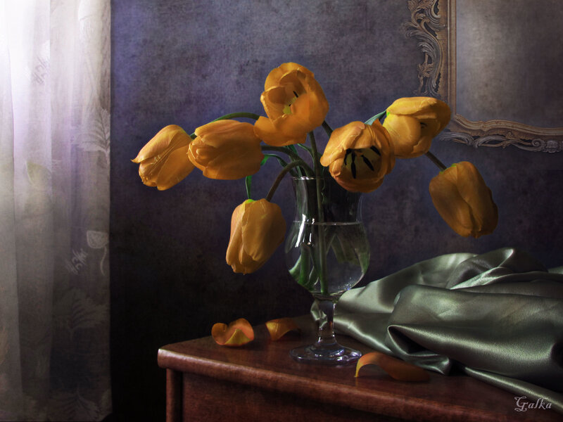 Yellow Tulips in Vase — Dramatic, Photograph, Fabric