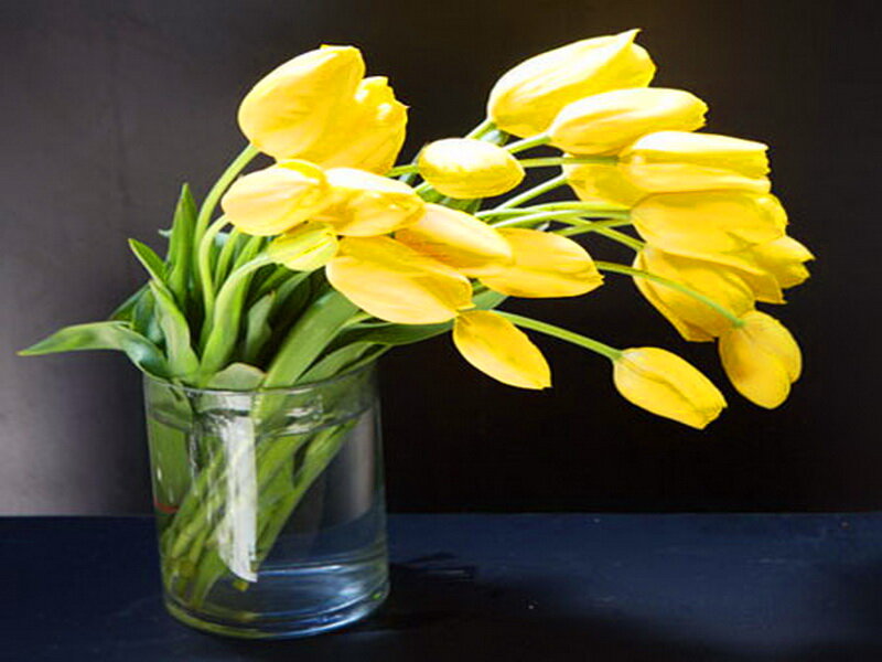 Yellow Tulips in Vase — Dramatic, Photograph, Flowers