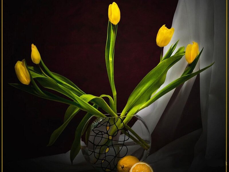 Yellow Tulips in Vase — Dramatic, Photograph