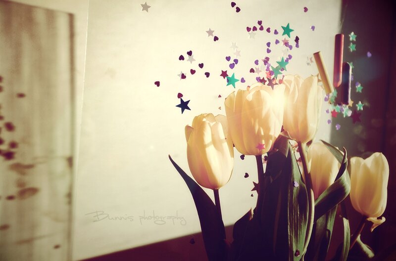 Yellow Tulips in Vase — Dreamy