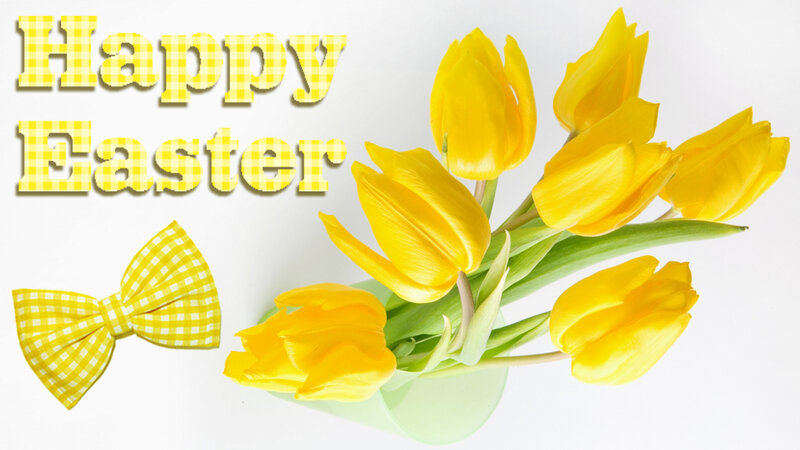Yellow Tulips in Vase — Festive