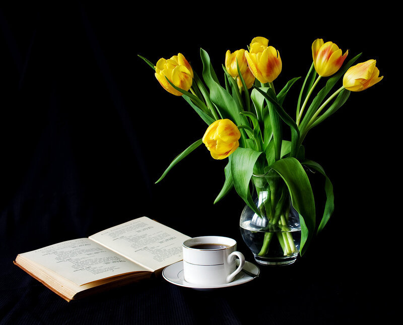 Yellow Tulips in Vase — Serene, Morning, Photograph, Book