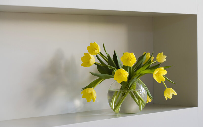 Yellow Tulips in Vase — Serene, Morning, Photograph, Shelf