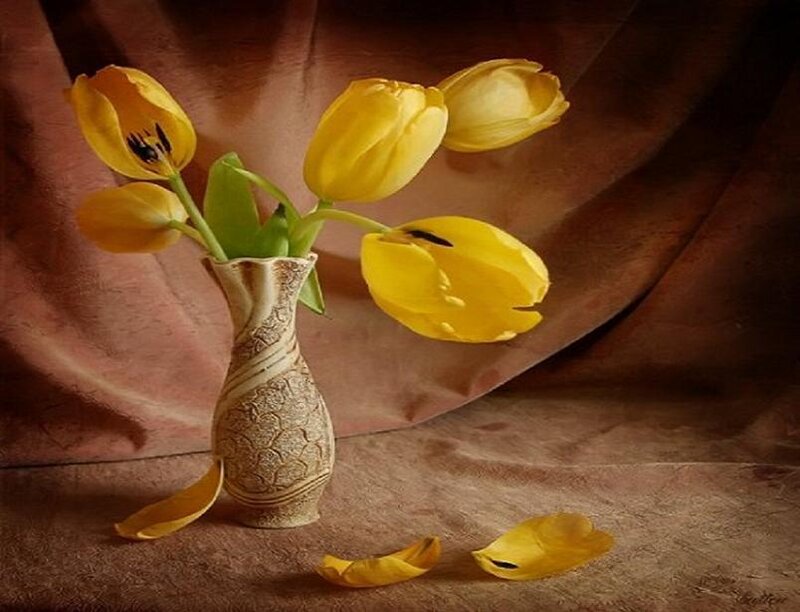 Yellow Tulips in Vase — Serene, Photograph, Petals