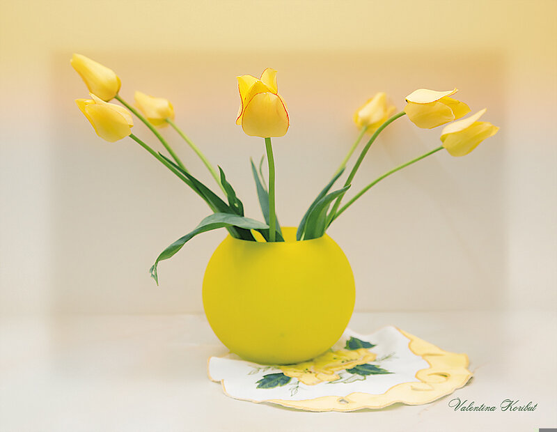 Yellow Tulips in Vase — Serene, Photograph