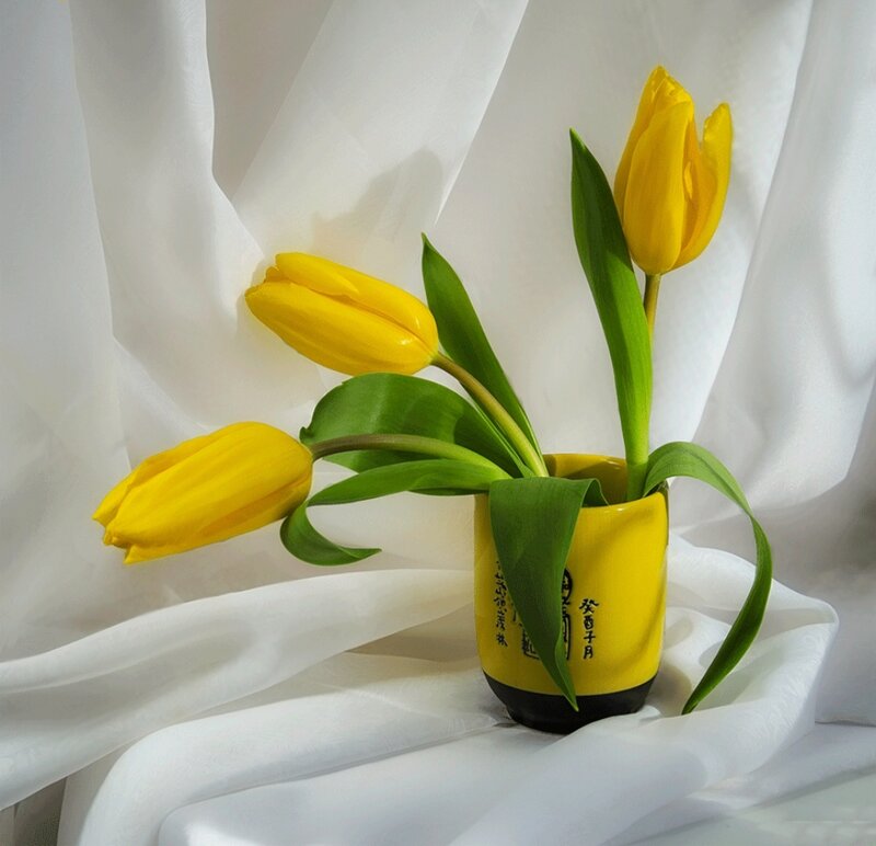 Yellow Tulips in Vase — Serene, Photograph, White Fabric
