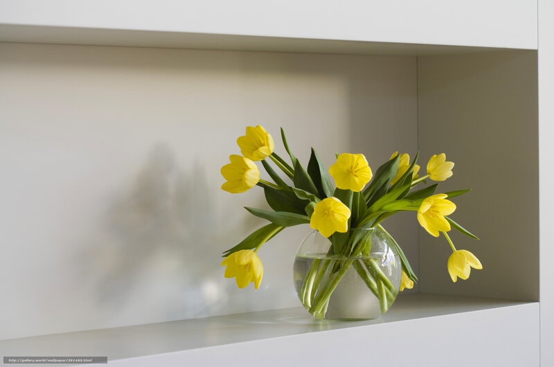 Yellow Tulips in Vase — Serene, Spring, Photograph, Shelf
