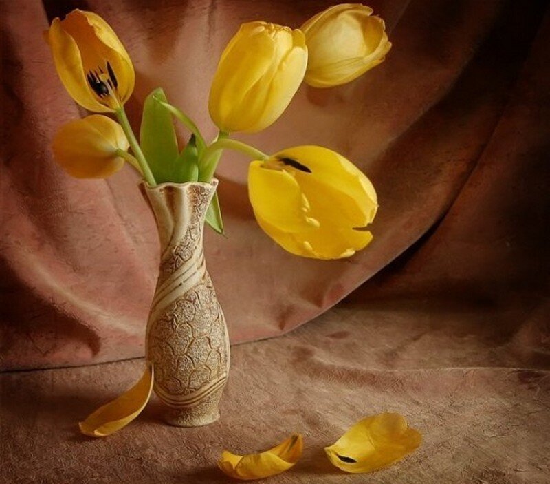 Yellow Tulips in Vase — Serene