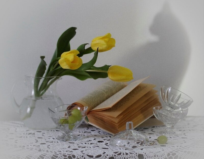Yellow Tulips in Vase — White