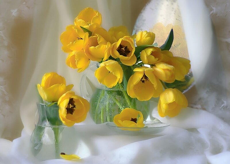 Yellow Tulips in Vases — Serene, Photograph, Flowers