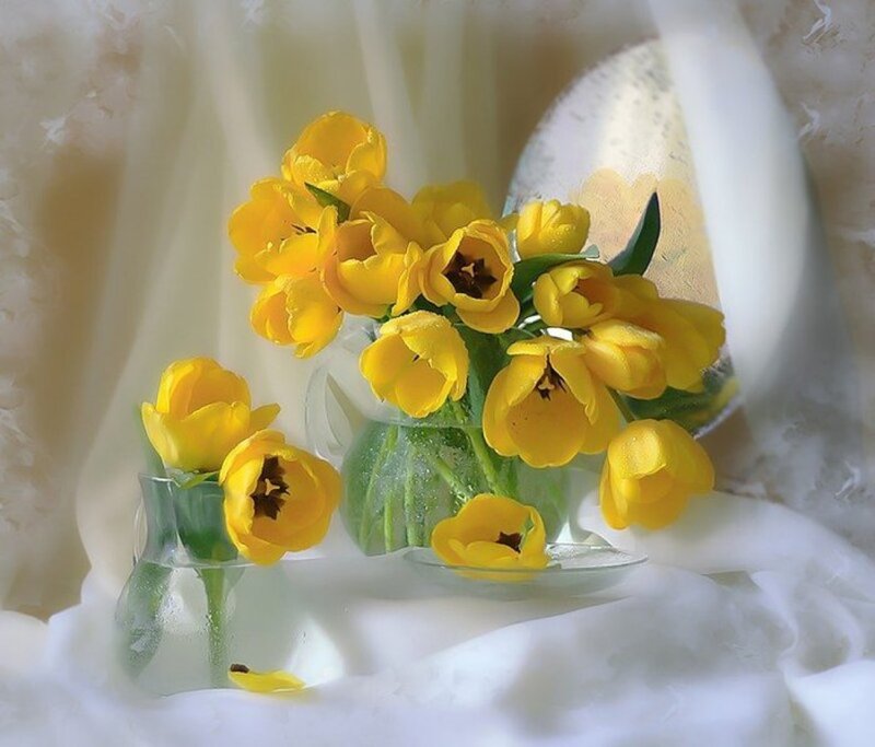 Yellow Tulips in Vases — Serene, Photograph