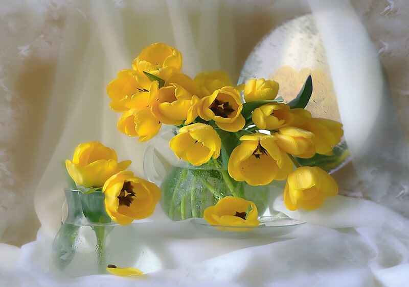 Yellow Tulips in Vases — Serene