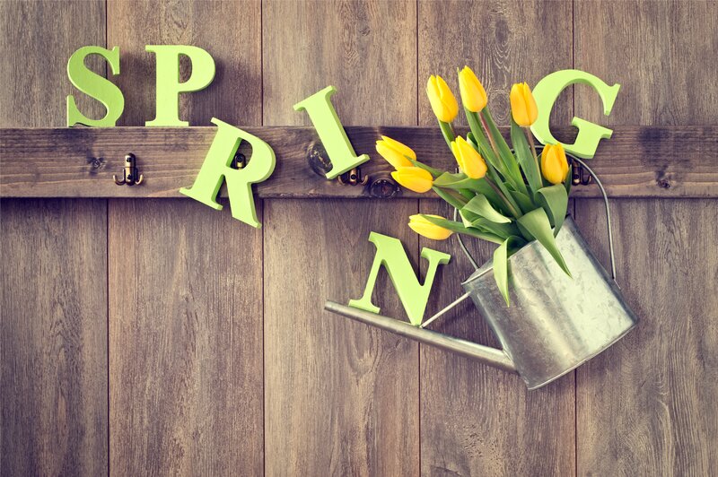 Yellow Tulips in Watering Can — Brown