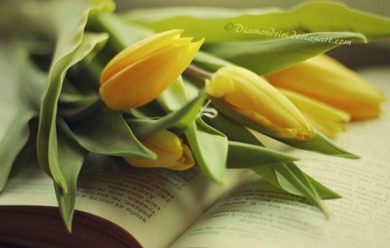 Yellow Tulips on Book