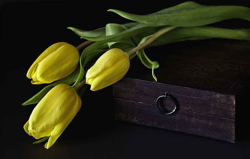 Yellow Tulips on Box
