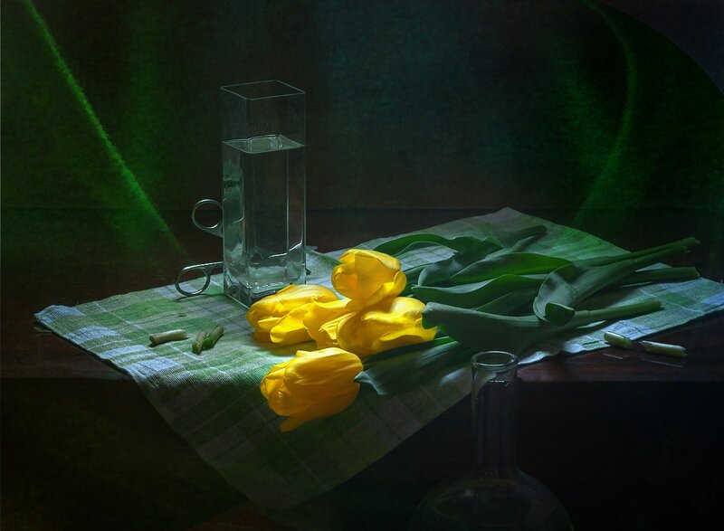 Yellow Tulips on Cloth