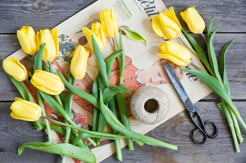Yellow Tulips on Magazine