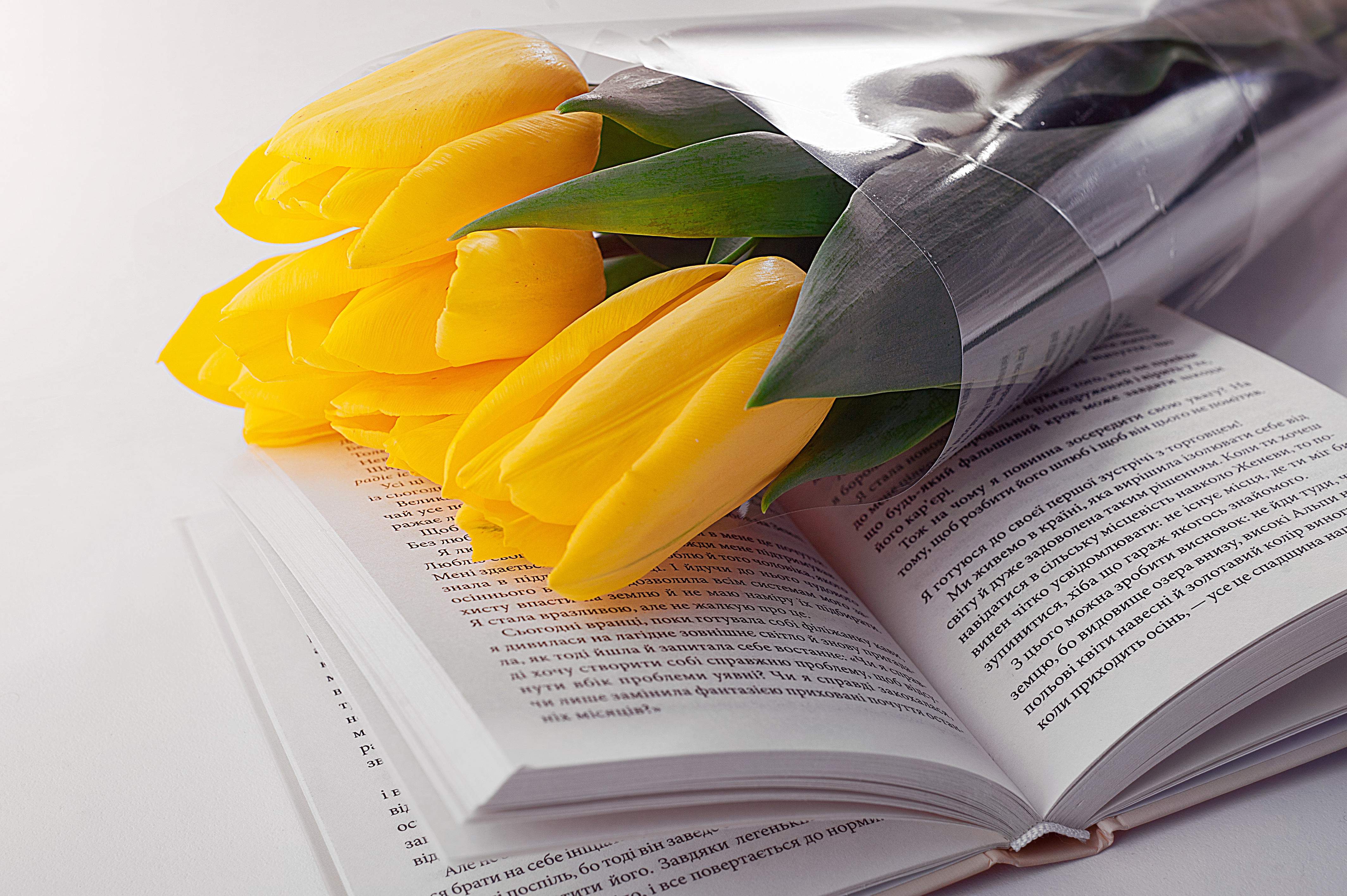 Yellow tulips on open book