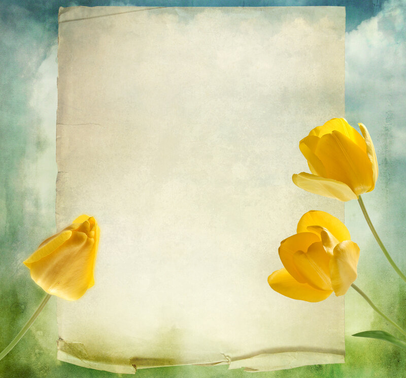 Yellow Tulips on Paper